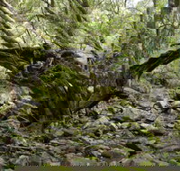 Mitchell River Walking Track - Accommodation Mt Buller