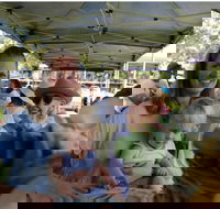 Murwillumbah Farmers' Market - Accommodation Mt Buller