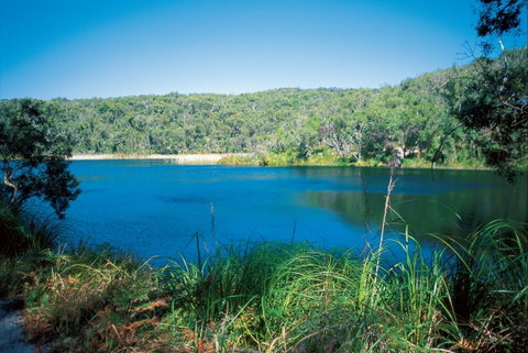 Naree Budjong Djara National Park - Accommodation Mt Buller 1