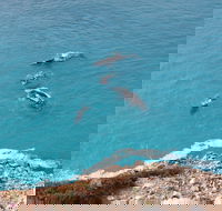 Nullarbor National Park - Accommodation Mt Buller