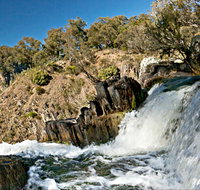 Oxley Walking Track - Accommodation Mt Buller