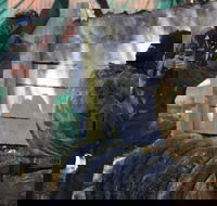 Skirmish Sunshine Coast Outdoor Paintball - Accommodation Mt Buller