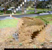 Stratford Historical Society and Museum - Accommodation Mt Buller