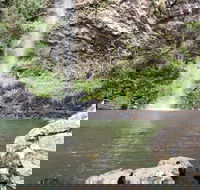 Twin Falls Circuit Springbrook National Park