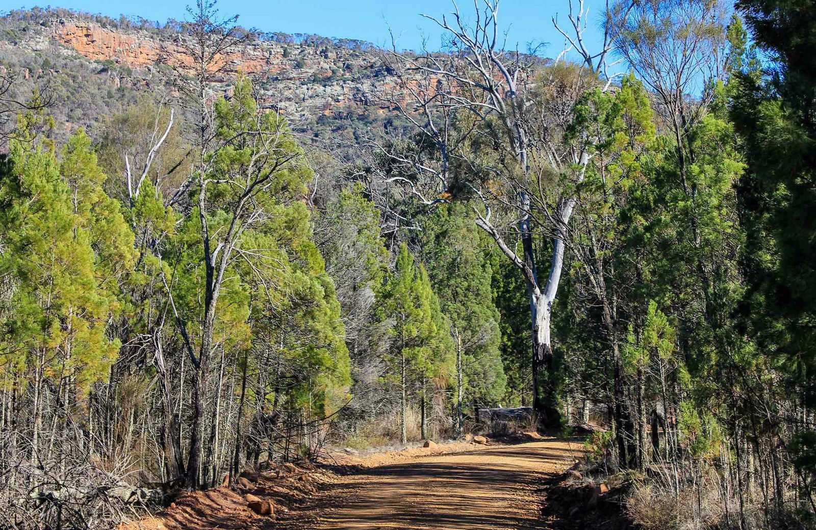  Accommodation Mt Buller