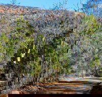 Weddin Gap to Black Spring Loop Trail - Accommodation Mt Buller