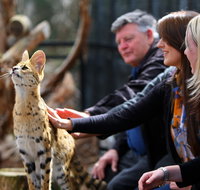 Werribee Open Range Zoo - Accommodation Mt Buller