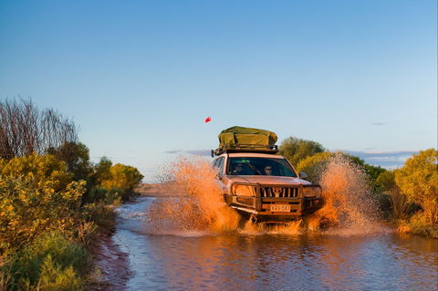 Witjira National Park - Accommodation Mt Buller 1