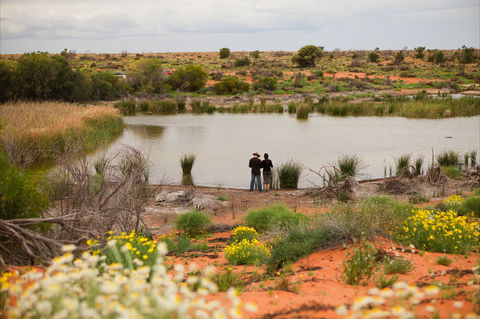 Witjira National Park - Accommodation Mt Buller 2