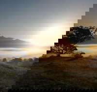 Wollumbin-Mount Warning National Park - Accommodation Mt Buller