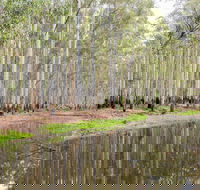 Wonga Wetlands - Accommodation Mt Buller