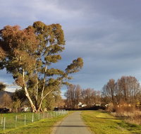 Adelong Falls Walk - Accommodation Mt Buller