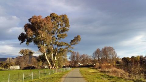 Adelong Falls Walk - Accommodation Mt Buller 0