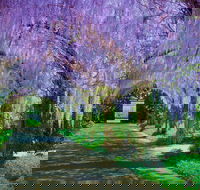 Alowyn Gardens and Nursery