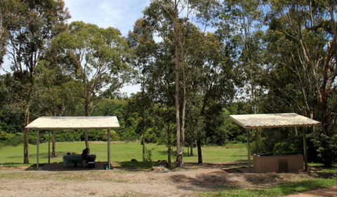Back Creek Picnic Area - Accommodation Mt Buller 0
