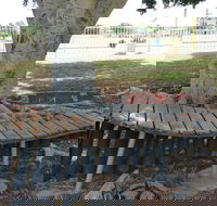 Barcaldine Musical Instruments - Accommodation Mt Buller