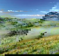 Bega - Accommodation Mt Buller