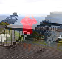 Best of All lookout track Springbrook National Park