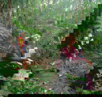 Binna Burra Lamington National Park - Accommodation Mt Buller