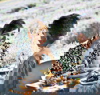 Boonah - Accommodation Mt Buller