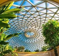 Brisbane Botanic Gardens Mount Coot-tha - Accommodation Mt Buller