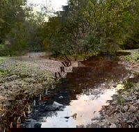 Budawang National Park - Accommodation Mt Buller