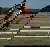 Camden Bicentennial Equestrian Park - Accommodation Mt Buller