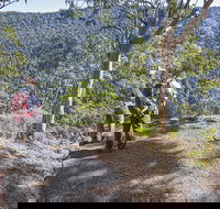 Caves circuit Lamington National Park - Accommodation Mt Buller