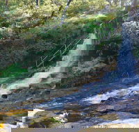 Charles Darwin walk - Accommodation Mt Buller