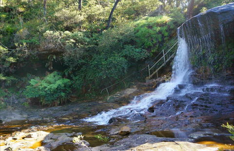 Charles Darwin Walk - Accommodation Mt Buller 0