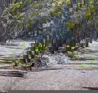 Coolah Tops National Park - Accommodation Mt Buller