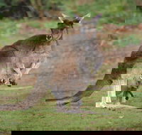 Donnelly River - Accommodation Mt Buller