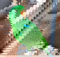 Eyre Reptile  Wildlife Park - Accommodation Mt Buller