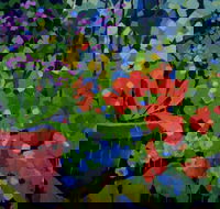 Ferry Artists Gallery - Accommodation Mt Buller