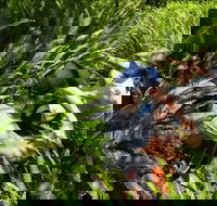 Georges Head - Accommodation Mt Buller