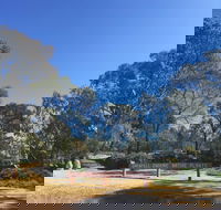 Grenfell Endemic Garden - Accommodation Mt Buller