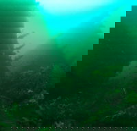 Investigator Strait Shipwreck Trail - Accommodation Mt Buller