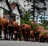 Jamberoo - Accommodation Mt Buller