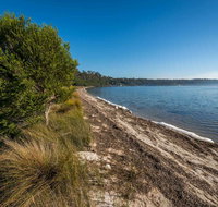Jewfish Walk - Accommodation Mt Buller