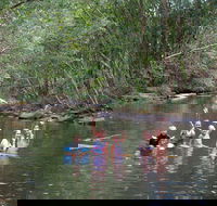 Kerewong State Forest