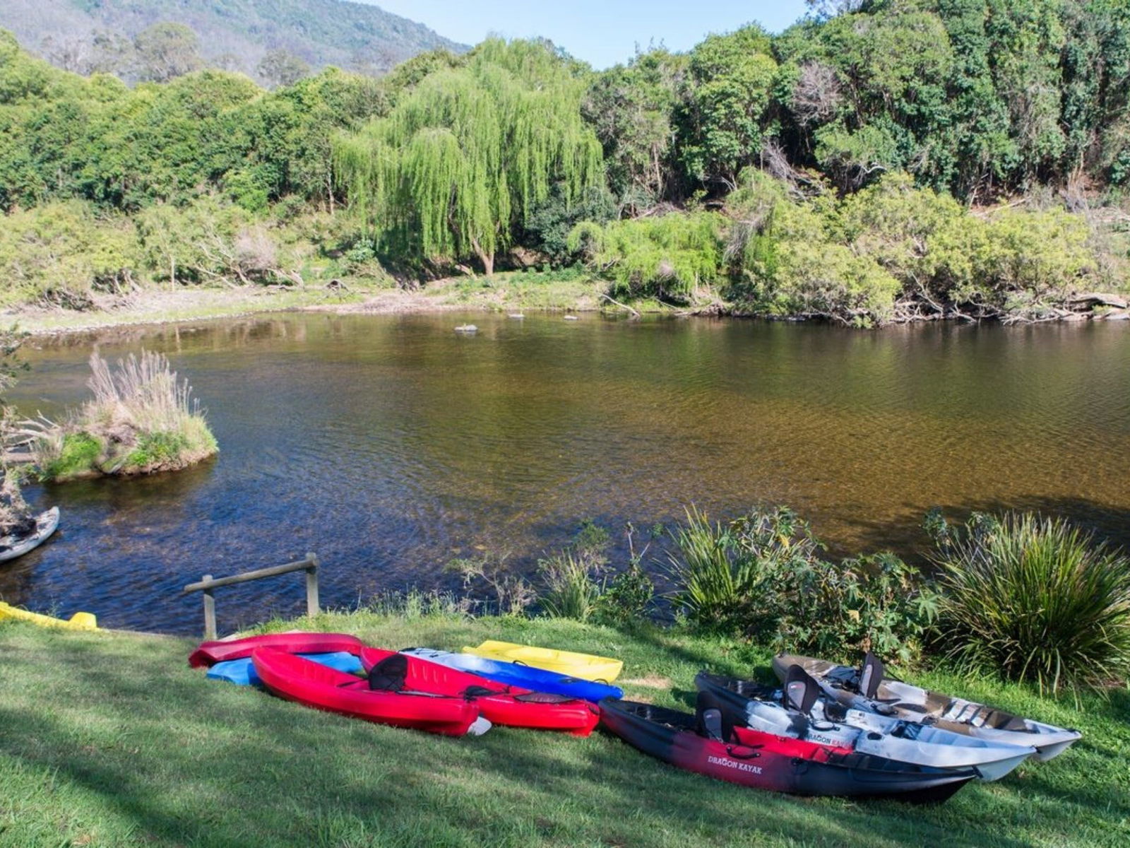 Knorrit Forest NSW Accommodation Mt Buller