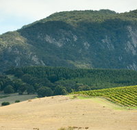 Langi Ghiran State Park - Accommodation Mt Buller