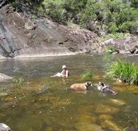 Mount Boss State Forest - Accommodation Mt Buller
