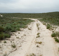 Ngarkat Conservation Park - Accommodation Mt Buller