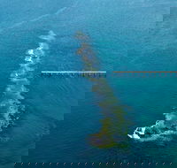 Port Noarlunga Reef Sanctuary Zone - Encounter Marine Park - Accommodation Mt Buller