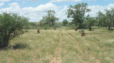 Powell Creek Telegraph Station - Accommodation Mt Buller 2