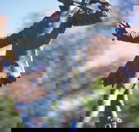 Queens Gardens - Accommodation Mt Buller