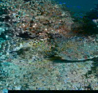 Round Bommie - Accommodation Mt Buller