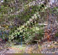 Sawpit Walking Track - Accommodation Mt Buller