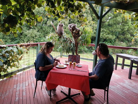 The Aussie Stop Offering Breakfast With Koalas - Accommodation Mt Buller 0